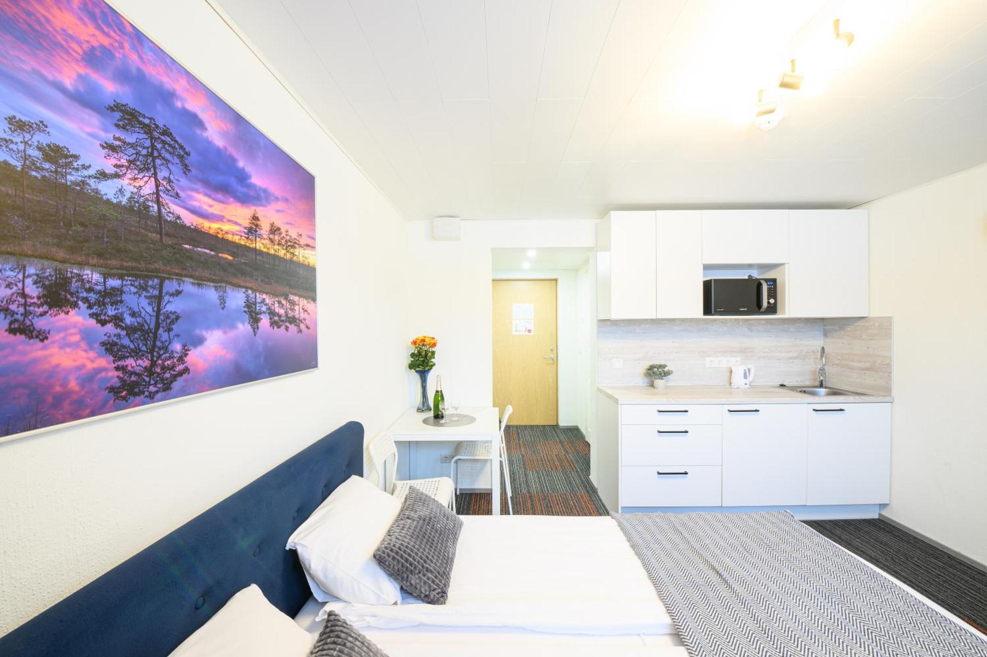Stay To Stay Apartments - Votmeta Sissepaeaes Tartu Værelse billede